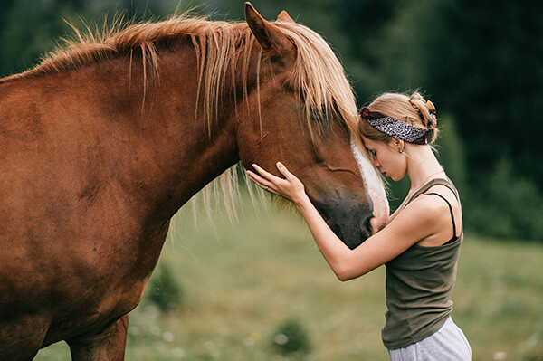 Horse connection