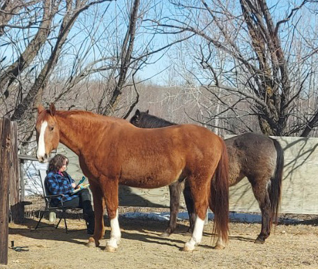 Journal with Horses