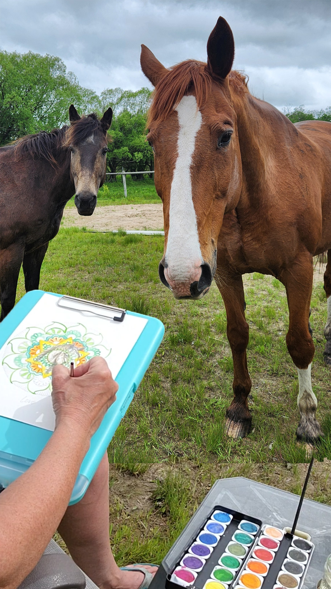 mandala painting with horses