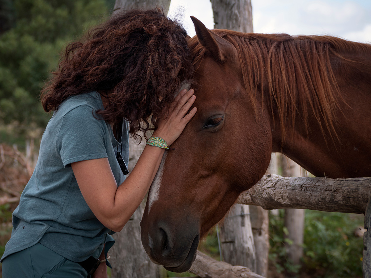 What is your horse thinking?