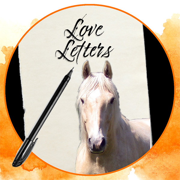 Write a Love Letter to Your Horse
